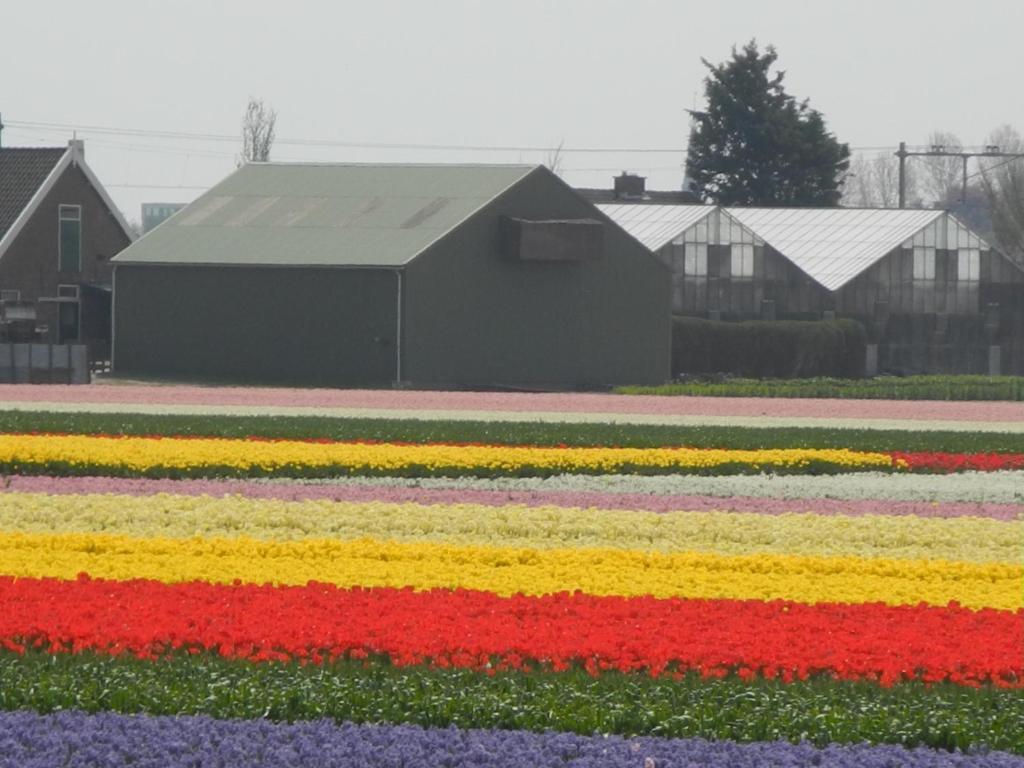 Pension Schier ซานด์โวร์ต ภายนอก รูปภาพ